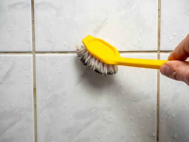 Best Fast Mold Removal  in East Troy, WI