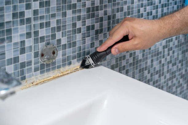 Best Mold Removal Specialists  in East Troy, WI